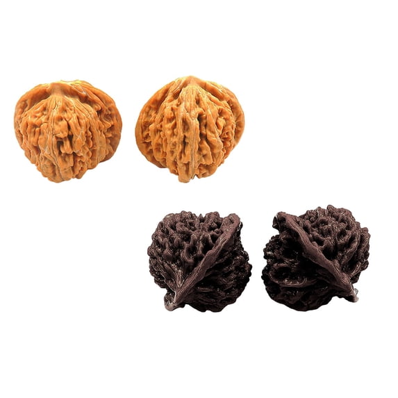 Clearance!Natural Chinese Wenwan Walnuts,Chinese Walnuts Fidget - 2026 New Wenwan Walnut(2 Set)