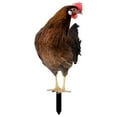 thumbnail image 1 of Clearance! Nomeni Garden Stakes Garden Decoration Fun Plug in Rooster Hen Courtyard Plug in Yard Art Garden Garden Outdoor Decoration Plug in Garden Decor, 1 of 4
