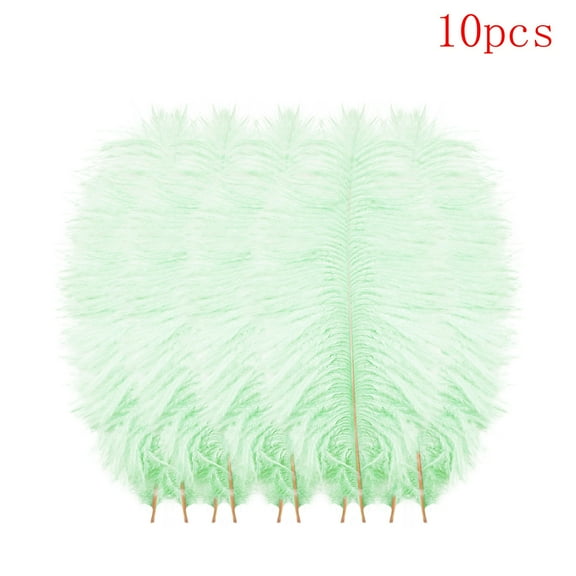 Clearance Office&Craft&Stationery under $5,10 Pcs Multicolor Plumage For Wedding Party Centerpieces Flower Arrangement Home Decoration Diy Big Floating Plume Hair Craft Decoration Wedding Pluma