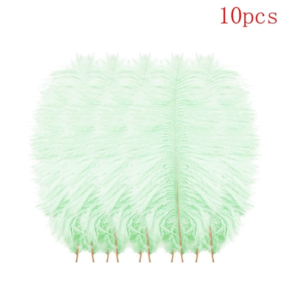 Clearance Office&Craft&Stationery under $5,5 Pcs Multicolor Plumage For Wedding Party Centerpieces Flower Arrangement Home Decoration Diy Big Floating Plume Hair Craft Decoration Wedding Pluma