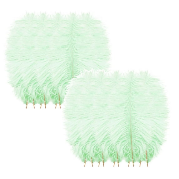 Clearance Office cabinet under $7,10 Pcs Multicolor Plumage For Wedding Party Centerpieces Flower Arrangement Home Decoration Diy Big Floating Plume Hair Craft Decoration Wedding Plumage 2PC