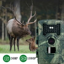 Clearance Outdoor Tracking And Recording Camera Scientific Research Water Proof Infrared Night Vision HD Camera Orchard Villa Fish Pond Farm Monitoring Antitheft Camera