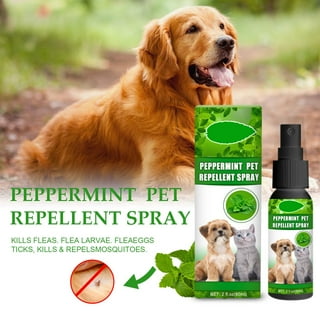 Antifungal spray for dogs walmart online