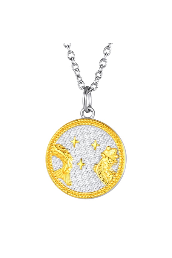 [Clearance] Pisces Astrology Necklace for Women Men Stainless Steel Horoscope Constellation Zodiac Sign Medallion Pendant Lucky Jewelry Gifts on Clearance