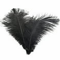 thumbnail image 1 of Clearance! Plertrvy Ostrich Feather 30-35cm Colorful Feather Decoration 96# Black, About 32 cmcolorful Feathers Wedding Decoration Flower Arrangement Stage Clothing Decoration, 1 of 7