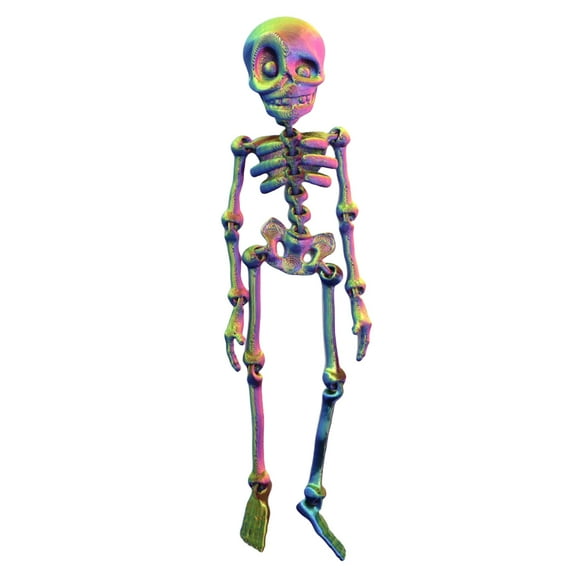 Poseable Skeleton Fridge Magnet Halloween Decoration, Full Body Skeleton Refrigerator Magnets, Multi-Color Human Skull Magnetic Decor for Refrigerator Locker (7 inch)