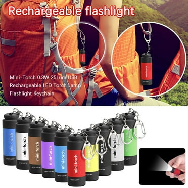 Clearance! SSNTSY Mini-Torch 0.3W 25Lum USB Rechargeable LED Torch Night Flashlight Keychain