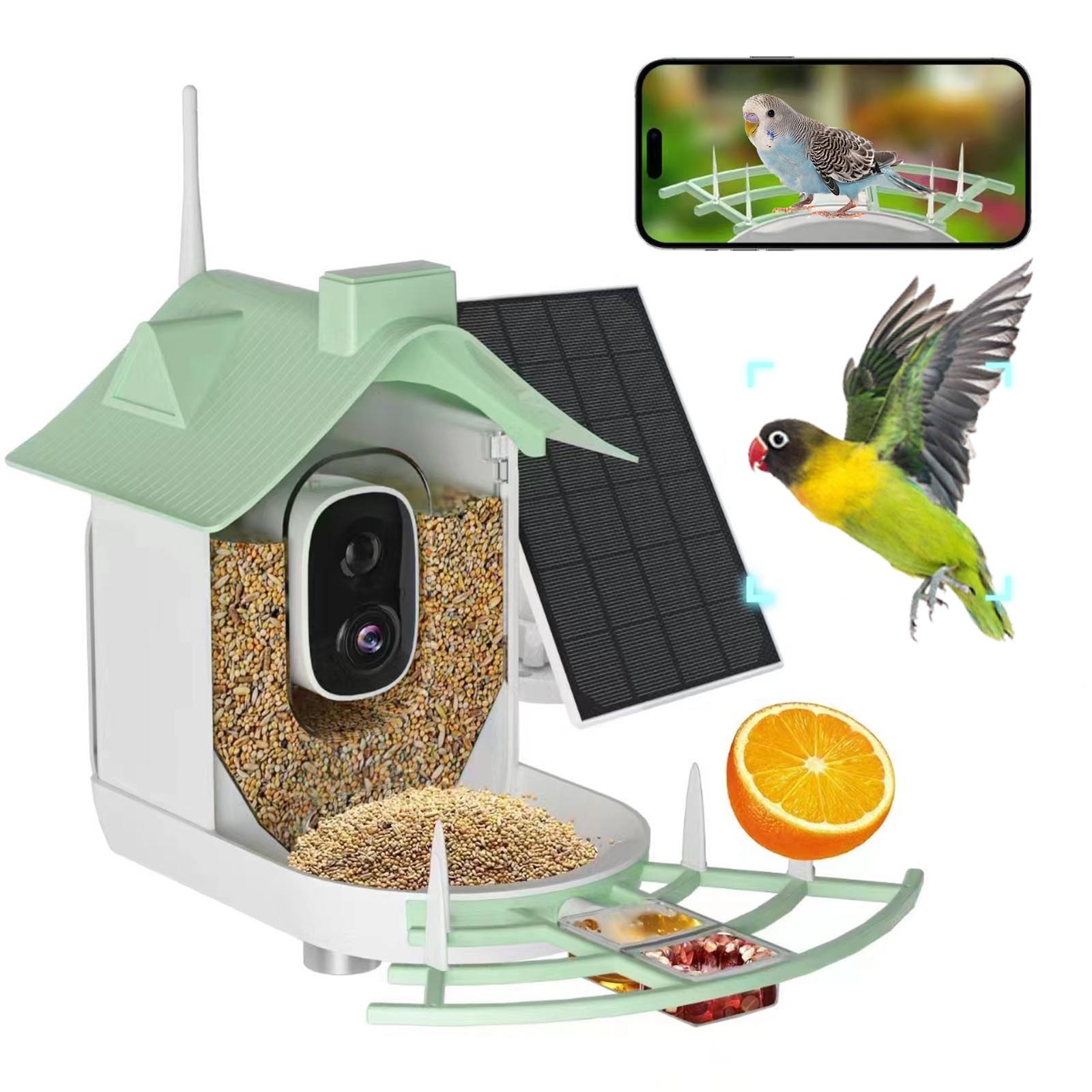 Clearance Sale - Smart Bird Feeder with Camera Solar Powered, AI