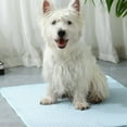 thumbnail image 1 of Summer Dog Cooling Mat,Washable Ice Silk Self Cool Pad for Small Medium Large Dogs and Cats, Indoor Outdoor Pet Sleeping Pad for Crate, Kennel, Bed, Sofa or Car Seats (18"x14"), 1 of 8