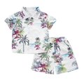 thumbnail image 1 of Clearance Sales OGLCCG Boy's 2 Piece Outfits Tropical Print Short Sleeve Button Up Shirts and Elastic Waist Shorts Set Summer Casual Clothes 1-8Y, 1 of 3