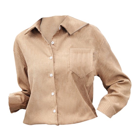 Clothing 2025 Super Soft Wrinkle Free Button Down Shirts for Women Formal Work Dress Blouses Tops Womens Button Down Shirts Boyfriend Long Sleeve Oversized Blouses Tops