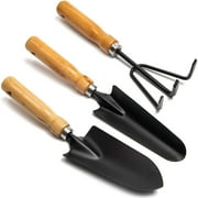 Clearance Set Black Iron Gardening Tools Set with Mango Wood Handle - Mini Hand Trowel, Transplanter, Hand Rake Cultivator