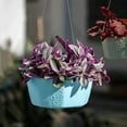 thumbnail image 1 of Clearance! Soovim Flower Pots Indoor Pots Self Absorbent Lazy Pot Hanging Basket Phalaenopsis Green and Succulent Garden Orchid Wall Hanging Pot, 1 of 4