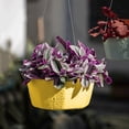 thumbnail image 1 of Clearance! Soovim Indoor Pots Planting Pots Self Absorbent Lazy Pot Hanging Basket Phalaenopsis Green and Succulent Garden Orchid Wall Hanging Pot, 1 of 4