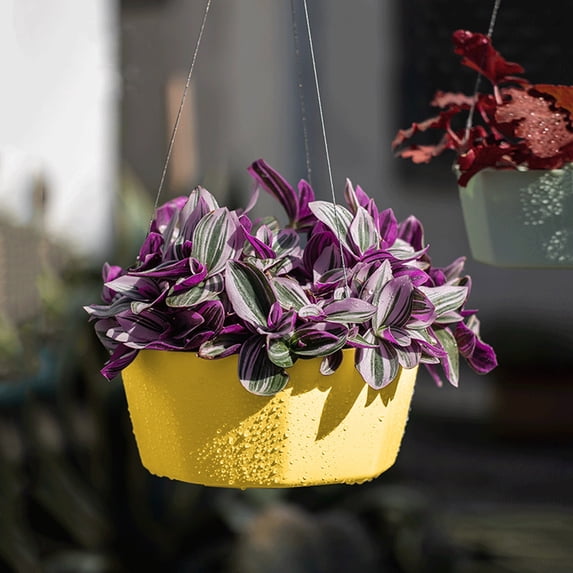 Clearance! Soovim Indoor Pots Planting Pots Self Absorbent Lazy Pot Hanging Basket Phalaenopsis Green and Succulent Garden Orchid Wall Hanging Pot