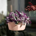 thumbnail image 1 of Clearance! Soovim Outdoor Pots for Pots Outdoor Self Absorbent Lazy Pot Hanging Basket Phalaenopsis Green and Succulent Garden Orchid Wall Hanging Pot, 1 of 4