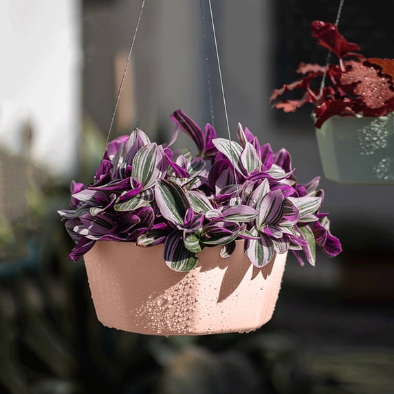 Clearance! Soovim Outdoor Pots for Pots Outdoor Self Absorbent Lazy Pot Hanging Basket Phalaenopsis Green and Succulent Garden Orchid Wall Hanging Pot