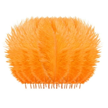 Efavormart 12 Pack | 13"-15" Black Natural Plume Real Ostrich Feathers ...