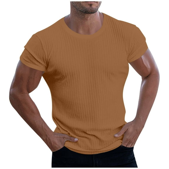 Titcea Men's T-shirts Solid Color Crew Neck Short Sleeve High Elastic Undershirts Gym Outdoor Workout Running Training Loose Casual Shirts(S-4XL)