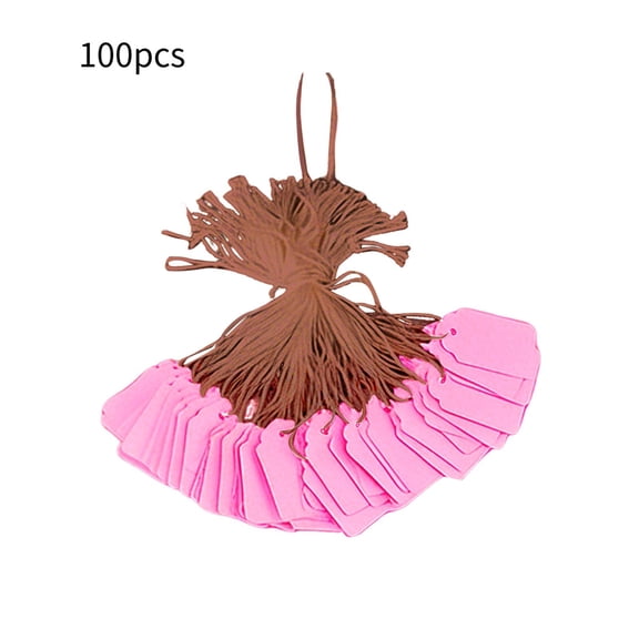 Clearance Under $0.74! 100PCS Blank Tag & Lanyard Set, Tear-Proof PVC Product Cards, DIY Handwritten Labels, for Retail & Craft, Pink, 4.8x3cm