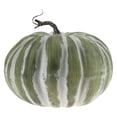 thumbnail image 1 of Clearance Under $10 | Large Realistic Artificial Pumpkin with Frosted Details for Fall Halloween Decor Green, 1 of 5
