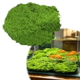 thumbnail image 1 of Clearance Under $5 Artificial Moss Powder Green Realistic DIY Terrarium Bonsai Garden Craft Decor,1PC,Green, 1 of 8