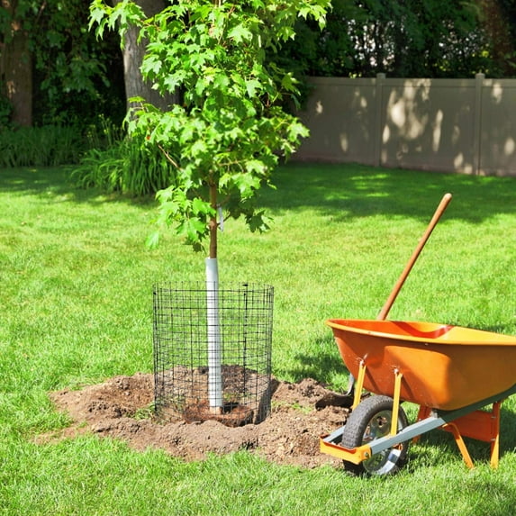 Clearance! Under$5 Round Plant Protector from Animals,6 Pack 12'' x 12'' Metal Plant Cages,Metal Mesh to Keep Animals Out, Garden Protection Bunny Barricades, Wire Plant Protectors