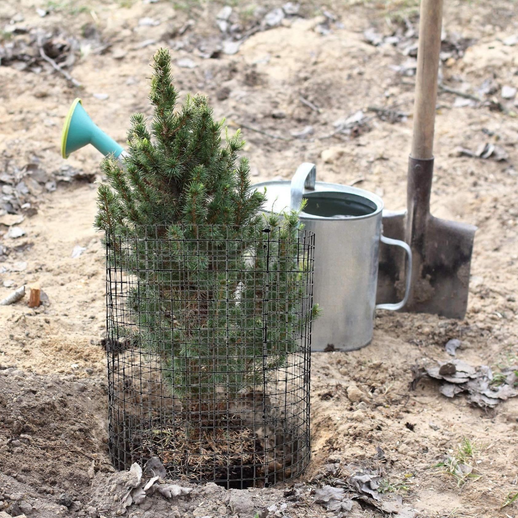 Clearance! Under$5 Round Plant Protector from Animals,6 Pack 12'' x 12'' Metal Plant Cages,Metal Mesh to Keep Animals Out, Garden Protection Bunny Barricades, Wire Plant Protectors