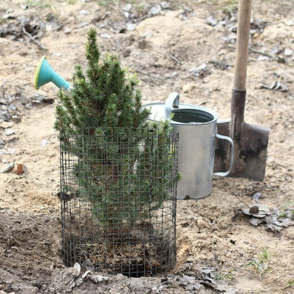 Clearance! Under$5 Round Plant Protector from Animals,6 Pack 12'' x 12'' Metal Plant Cages,Metal Mesh to Keep Animals Out, Garden Protection Bunny Barricades, Wire Plant Protectors