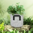 thumbnail image 1 of Usloyux Breathable Plant Growth Bags For Vegetables, Durables Non-Woven Fabric Pots With Handles, Reusable Garden Planters For Potatoes, Radish, Cucumbers & More,Gray-M, 1 of 6