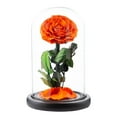 Clearance！ Artificial flowers Colorful LightUp Rose In Dome
