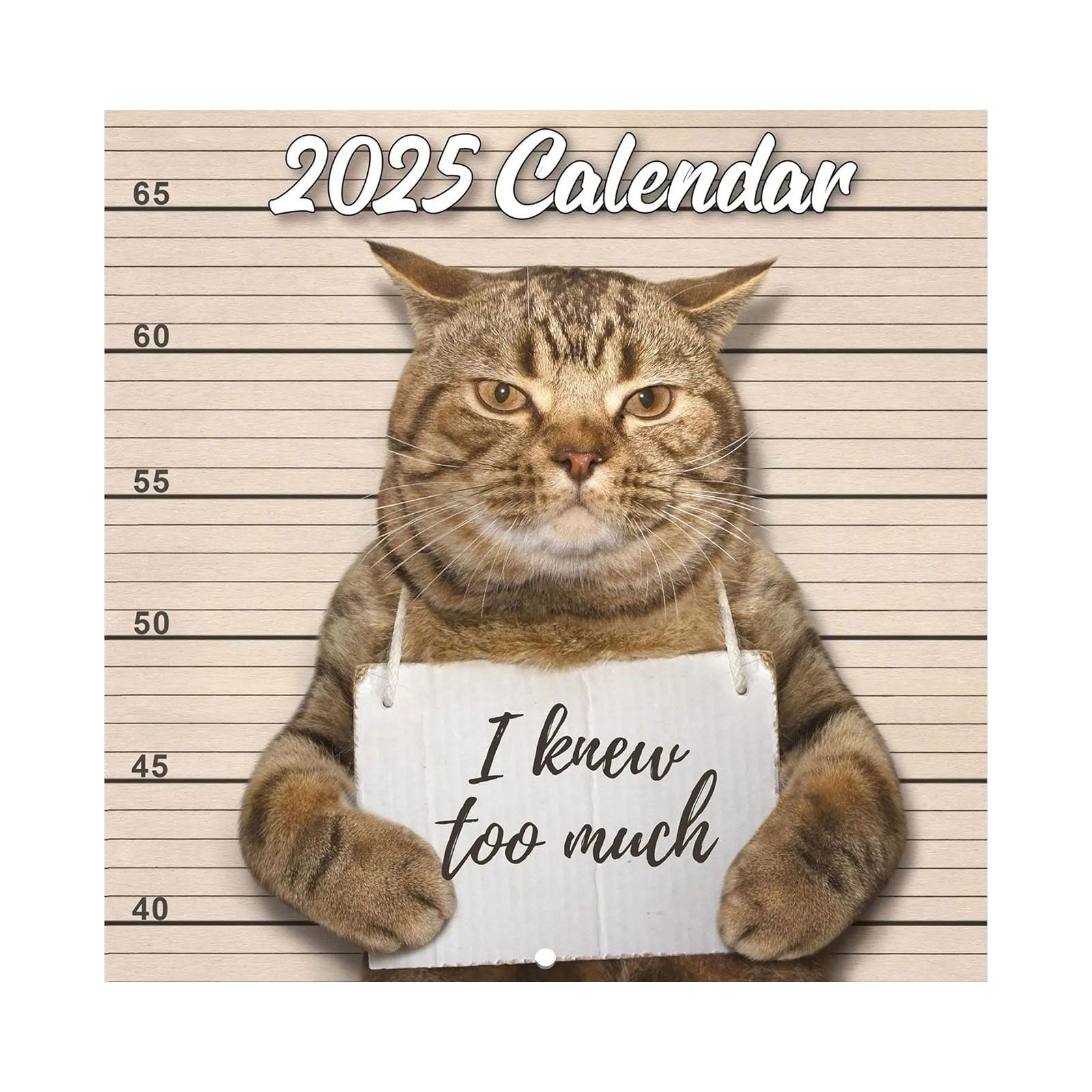 💥Clearance！Zmzmskgsi Calendar 2025 Wall Calendar JAN. 2025 DEC. 2025
