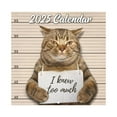 💥Clearance！Zmzmskgsi Calendar 2025 Wall Calendar JAN. 2025 DEC. 2025