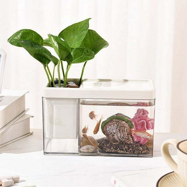 Clearance items! JGF844 Transparent Goldfish Box - Multifunctional Desktop Organizer & Mini Aquarium for Office Decor