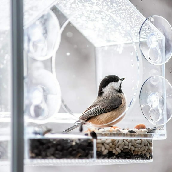 Automatic Feeder Transparent Bird Cage Adsorption Transparent Bird Feeder