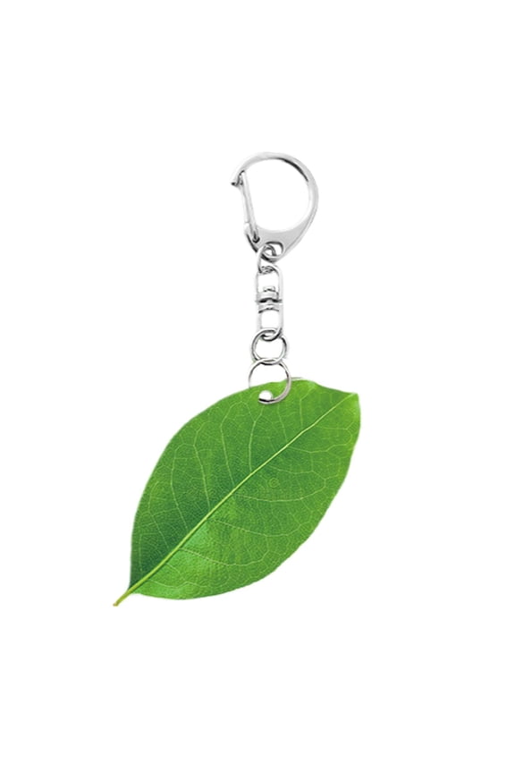 (Clearance) pdqouc Plant Keychain Green Monstera Leaf Keychain Plant Lover Cute for Women Lady Car Keys Bag Charm Decor