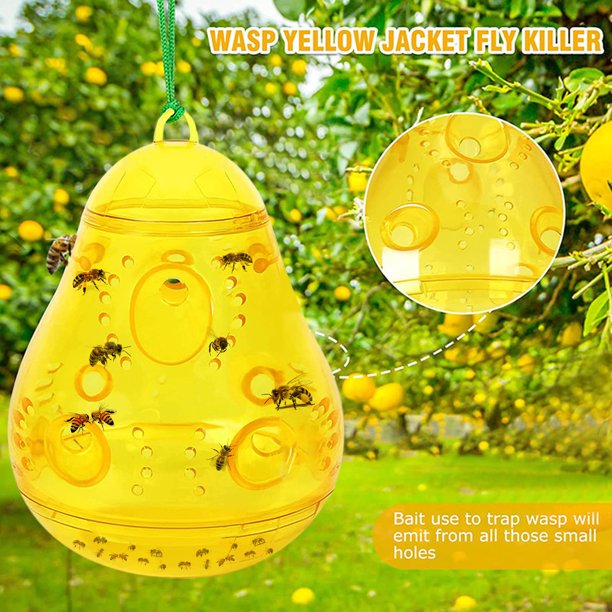 Clearence KKCXFJX Tramp For FruitFlies Wasp Trap For Bees