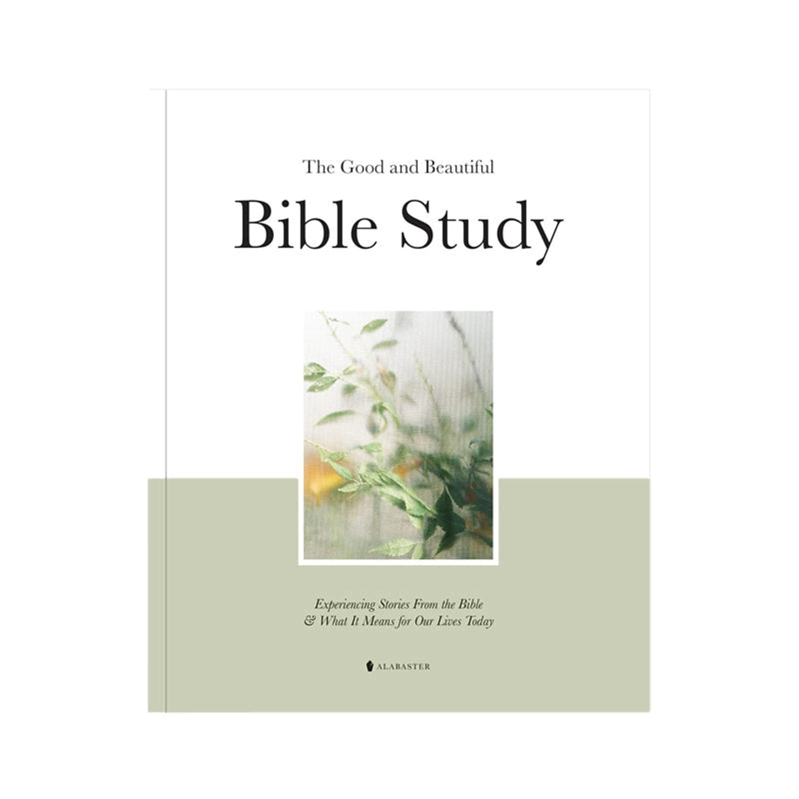 Clearence! The Good and Beautiful Bible Study Exploring Stories From