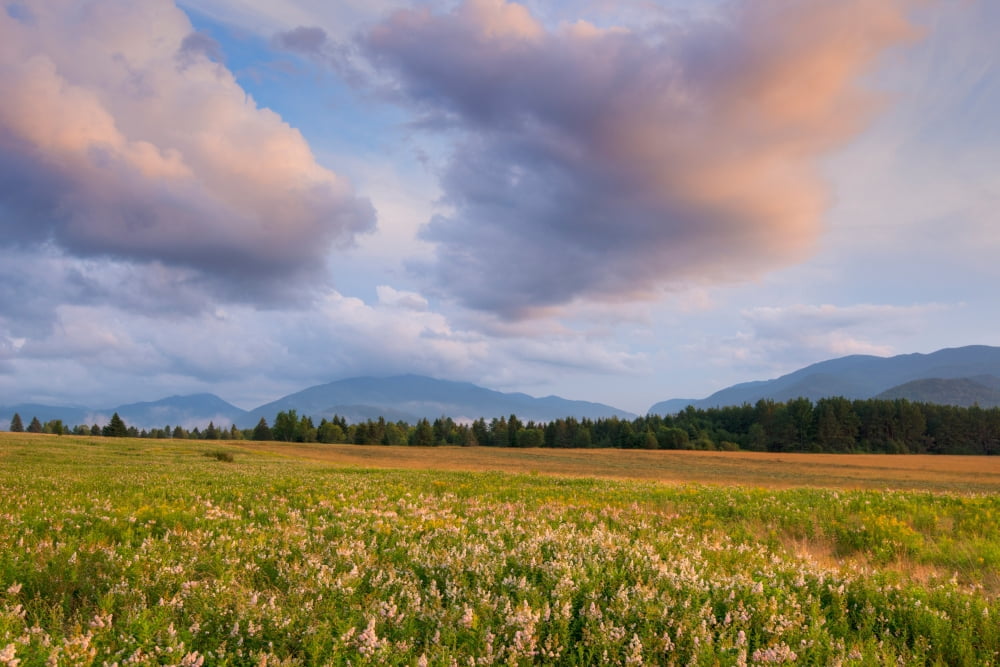 Clearing storm over the Plains of Abraham Adirondack Park New York State USA Canvas Art - Panoramic Images (27 x 9)