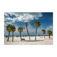 thumbnail image 1 of Clearwater Palms - Clearwater Beach Florida Photography Beach Palm Tree Coastal Tropical Summer Boardwalk Scenic Unframed Wall Art Print 32 x 48 inches, 1 of 7