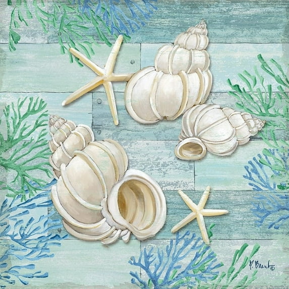 Clearwater Shells III Poster Print by Paul Brent