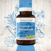 HerbEra Earth's Love - Thyme 60 Capsules, High Potency Capsules 400 Mg Made With Thyme Thymus Vulgaris And Vegetable Capsules Dried Leaf 60 Capsules