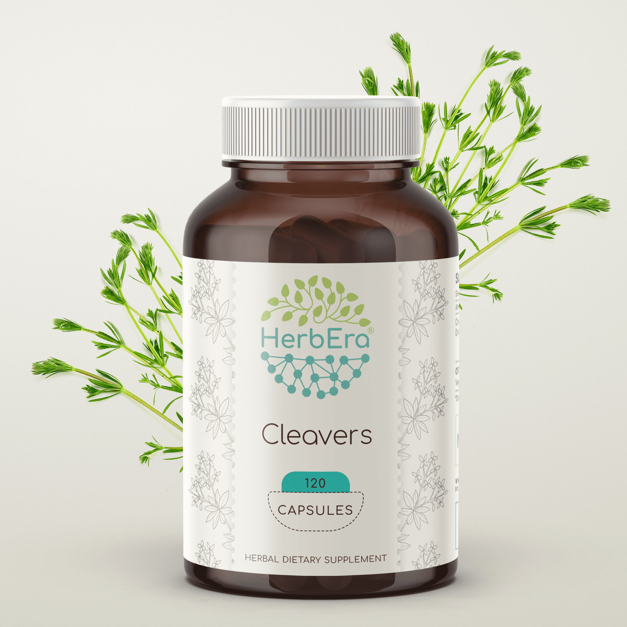 Cleavers 120 Capsules, 400 mg, Organic Cleavers (Galium aparine) Dried ...