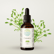 HerbEra Cleavers Tincture, Herbal Dietary Supplement for Urinary Support, Cleavers Galium aparine Dried herb Extract, Natural, Alcohol-Free, Drops 2 oz