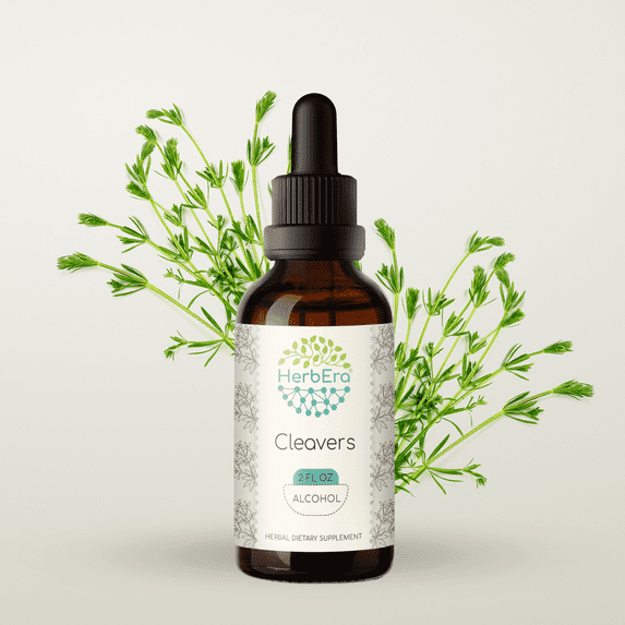 HerbEra Cleavers Tincture, Herbal Dietary Supplement for Urinary Support, Cleavers (Galium aparine) Dried herb Extract, Natural, Alcohol Tincture, Drops 2 oz
