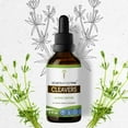 thumbnail image 1 of Cleavers Tincture Alcohol Extract, Organic Cleavers (Galium aparine) Dried Herb 2 oz, 1 of 7