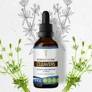 Cleavers Tincture Alcohol-FREE Extract, Organic Cleavers (Galium aparine) Dried Herb 2 oz