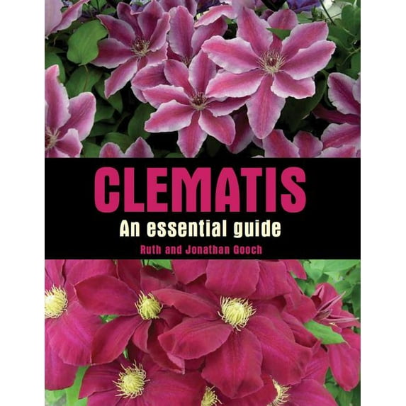 Clematis : An Essential Guide (Hardcover)
