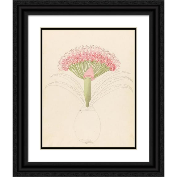 Clemenz Heinrich Wehdemann 12x14 Black Ornate Wood Framed Double Matted Museum Art Print Titled: Bumpwigy (Bruns)