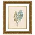 thumbnail image 1 of Clemenz Heinrich Wehdemann 20x24 Gold Ornate Framed and Double Matted Museum Art Print Titled - Pentand. Mono. (Ehretia Rigida) (1817), 1 of 4
